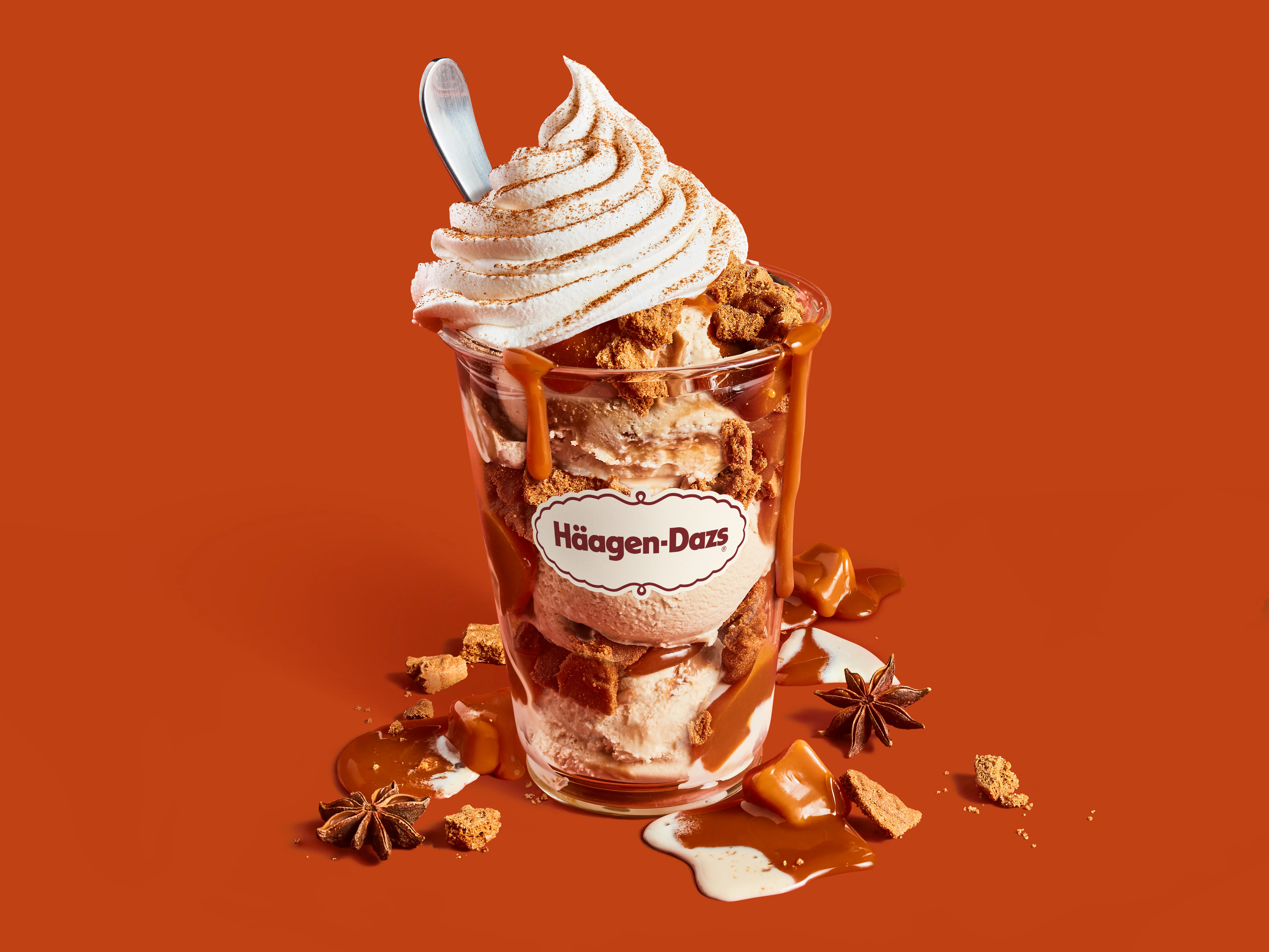 Pumpkin Spice Dazzler Rich Dulce de Leche ice cream layered with caramel sauce and cinnamon cookie pieces topped with whipped cream and dusted with warm pumpkin pie spices.